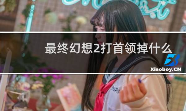 最终幻想2打首领掉什么