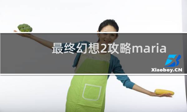 最终幻想2攻略maria