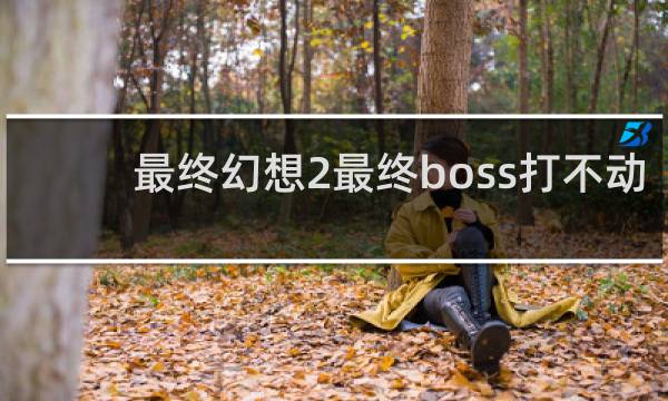 最终幻想2最终boss打不动