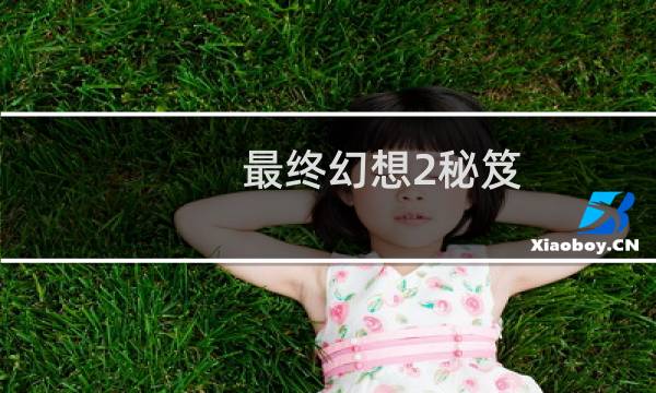 最终幻想2秘笈