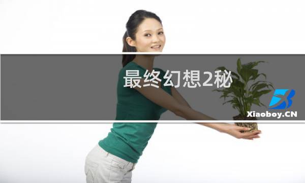 最终幻想2秘