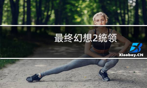 最终幻想2统领