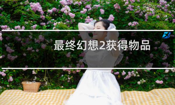 最终幻想2获得物品