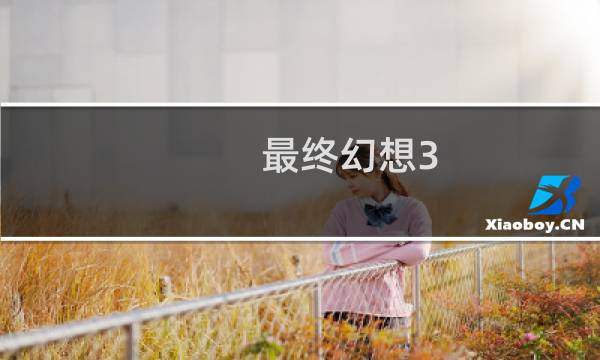 最终幻想3 盗贼