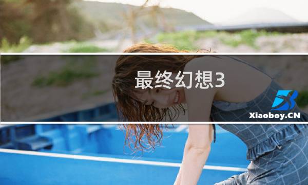 最终幻想3 骑士