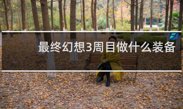 最终幻想3周目做什么装备
