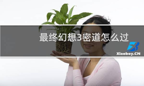 最终幻想3密道怎么过