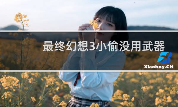 最终幻想3小偷没用武器