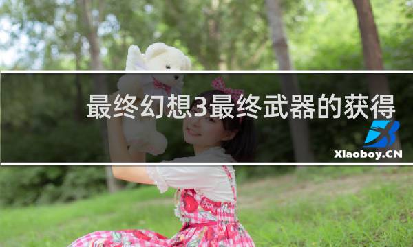 最终幻想3最终武器的获得