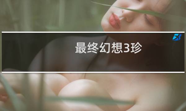 最终幻想3珍