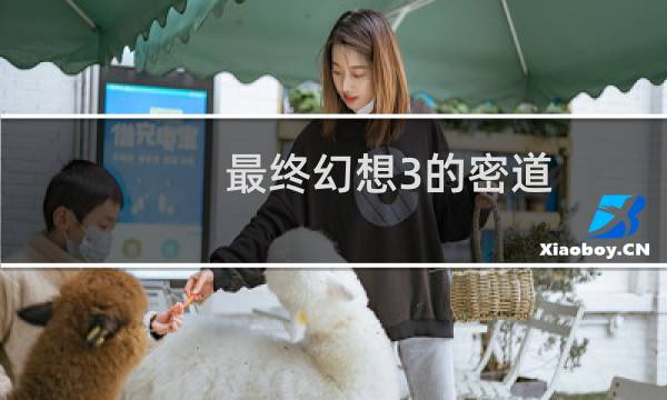 最终幻想3的密道