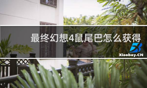 最终幻想4鼠尾巴怎么获得