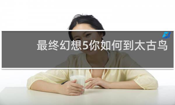 最终幻想5你如何到太古鸟
