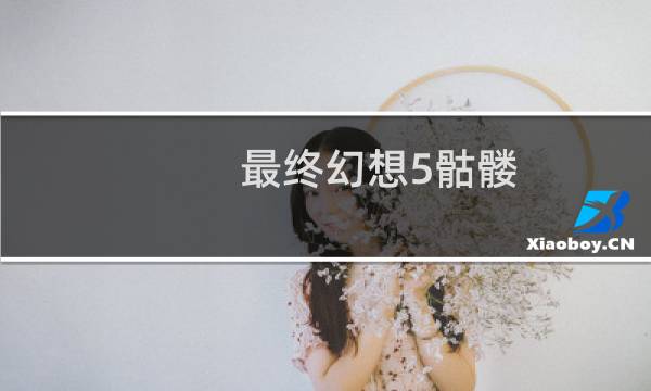 最终幻想5骷髅