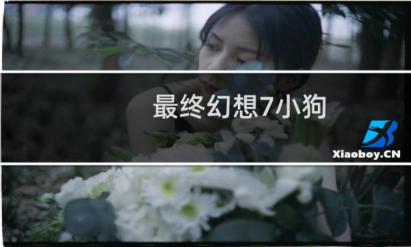 最终幻想7小狗
