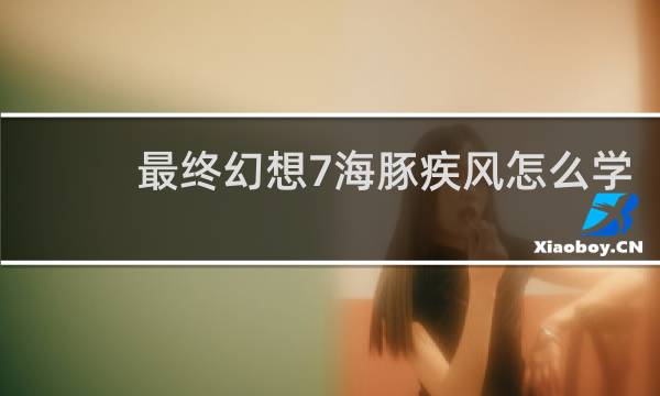 最终幻想7海豚疾风怎么学
