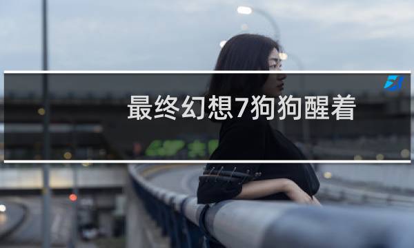 最终幻想7狗狗醒着