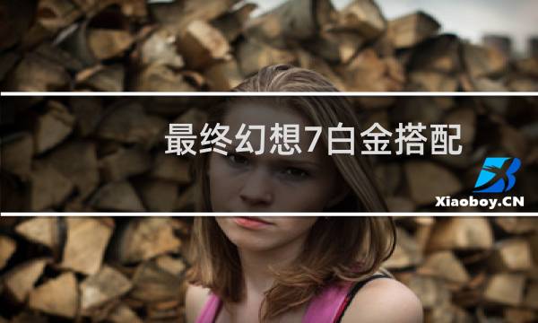 最终幻想7白金搭配