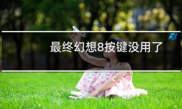 最终幻想8按键没用了
