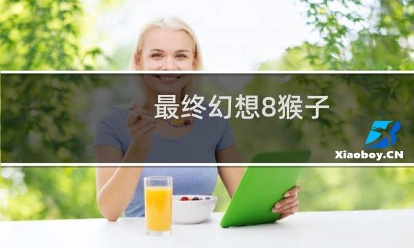 最终幻想8猴子