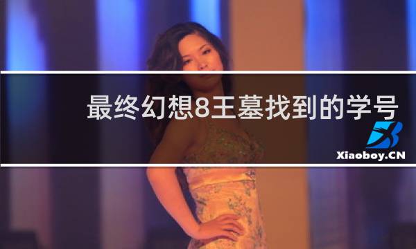 最终幻想8王墓找到的学号