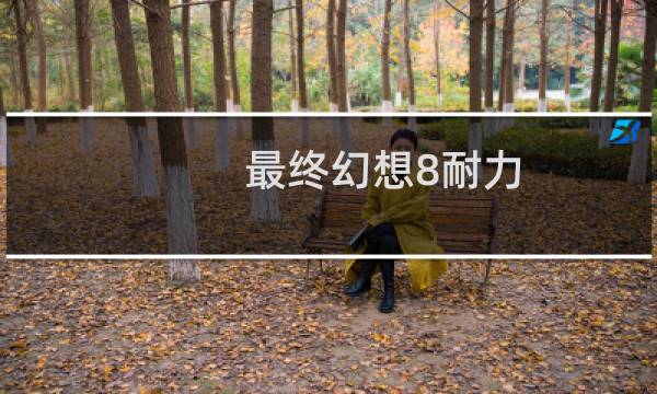 最终幻想8耐力