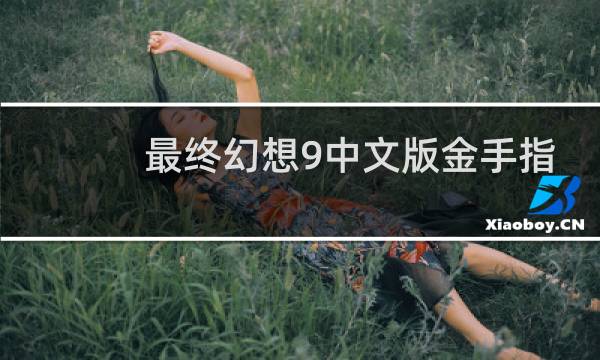 最终幻想9中文版金手指