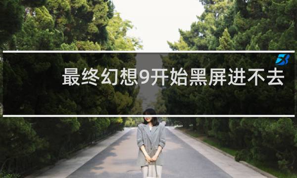 最终幻想9开始黑屏进不去
