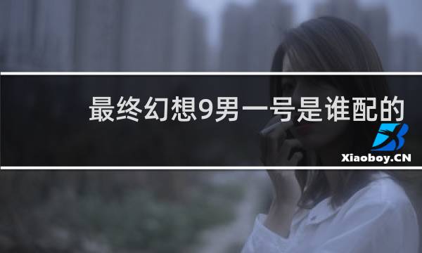 最终幻想9男一号是谁配的