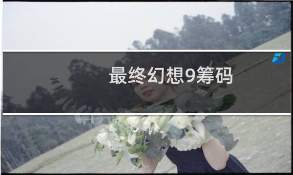 最终幻想9筹码