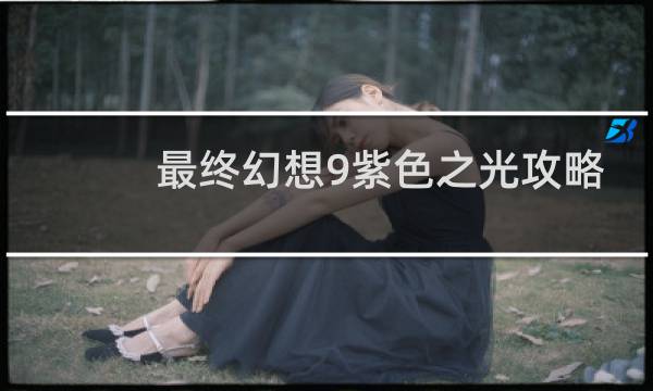 最终幻想9紫色之光攻略