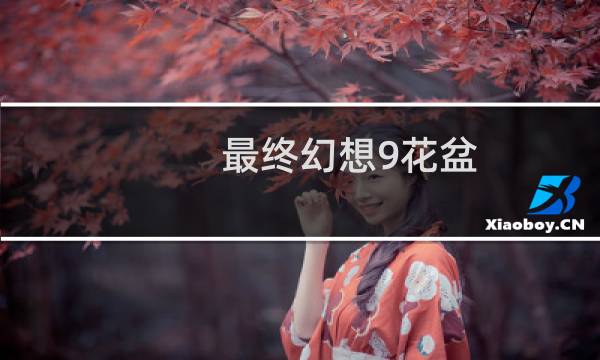 最终幻想9花盆