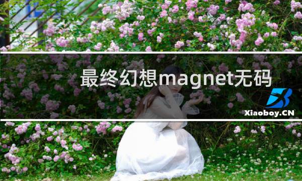 最终幻想magnet无码