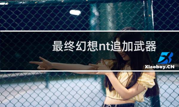 最终幻想nt追加武器