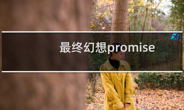 最终幻想promise(约束)
