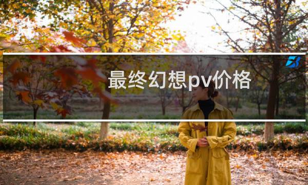 最终幻想pv价格