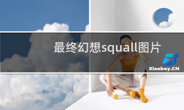 最终幻想squall图片