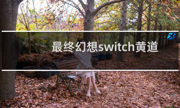 最终幻想switch黄道