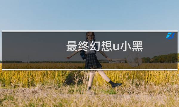 最终幻想u小黑