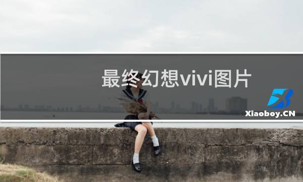 最终幻想vivi图片