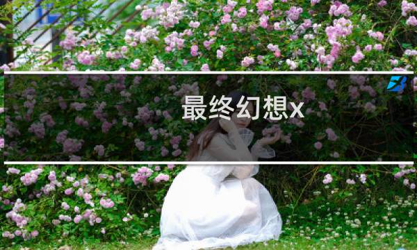 最终幻想x 白金攻略
