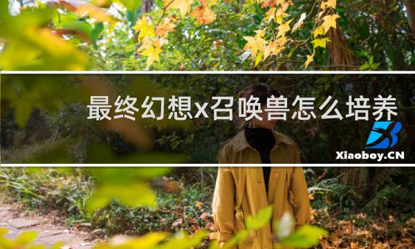 最终幻想x召唤兽怎么培养