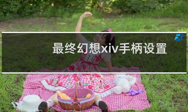 最终幻想xiv手柄设置