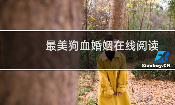 最美狗血婚姻在线阅读