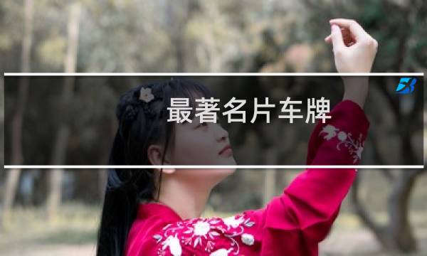 最著名片车牌