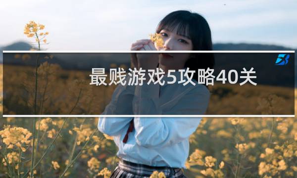 最贱游戏5攻略40关
