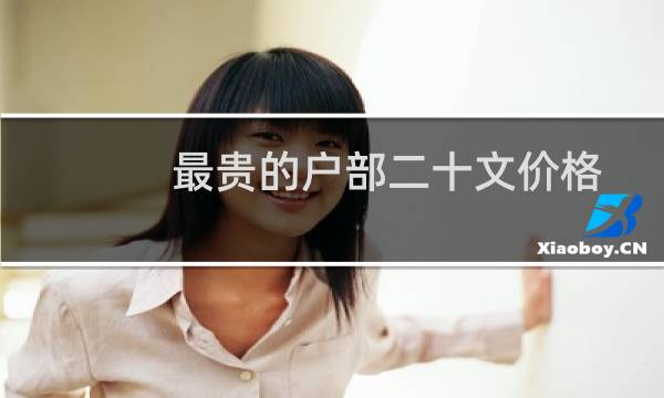 最贵的户部二十文价格