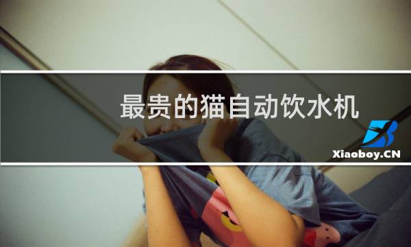 最贵的猫自动饮水机