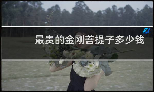 最贵的金刚菩提子多少钱
