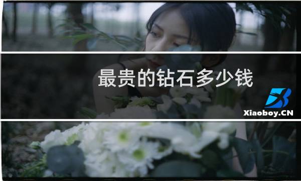 最贵的钻石多少钱
